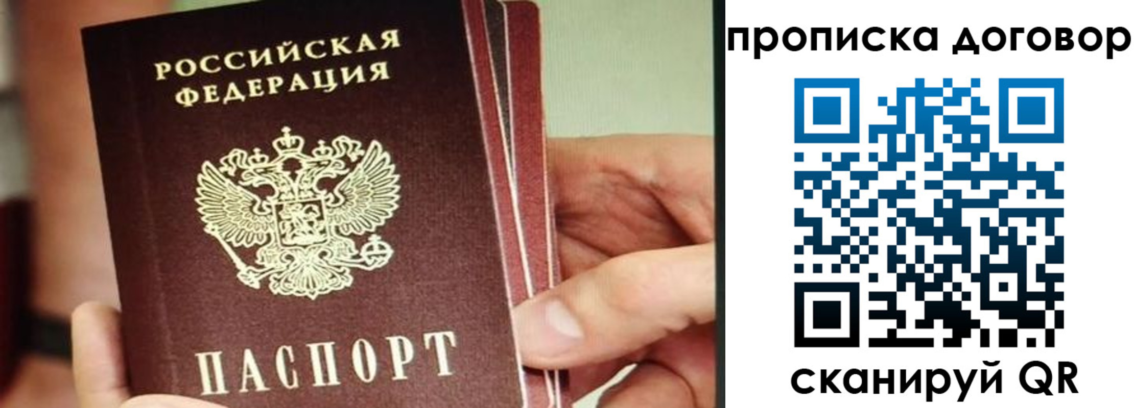 прописка в Новороссийске